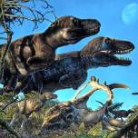 Появились свидетельства зимовья динозавров в арктике