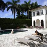 Самый богатый в мире пес продаст дом мадонны