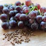 Виноград так же полезен для сосудов, как вино?