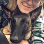 Верная собака защитила хозяйку от пумы и спасла ей жизнь