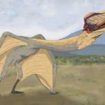 В Аргентине нашли останки гигантского «Дракона смерти» – птерозавра с 9-метровым размахом крыльев