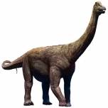 5 самых больших динозавров, когда-либо существовавших на Земле