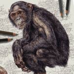 Иллюстрации дикой природы в рисунках польского художника