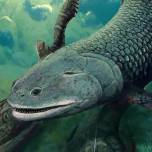 Найдена клыкастая рыба возрастом 380 миллионов лет и умевшая дышать воздухом