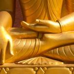 Почему Будда сидит в позе лотоса?