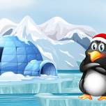 Открылась вакансия счетовода пингвинов в Антарктиде