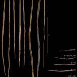 Археологи выяснили, как делали самые древние копья