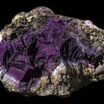 На севере Англии археологи нашли невероятно редкий тирский пурпур