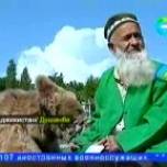 В ТАДЖИКСКОЙ СЕМЬЕ ЖИВЕТ МЕДВЕДИЦА МАРИЯ