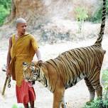 Монахи тайланда и тигры