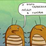 Ночные обжоры - тараканы
