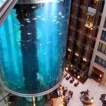 Aquadom самый большой аквариум в европе