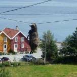 Горячий норвежский баран повис на столбе