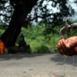 Истощение грунтовых вод в индии приведет к катастрофе