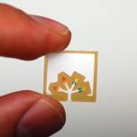 Диагностика заболеваний с помощью миниатюрного чипа из бумаги