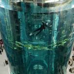 Aquadom - гигантский аквариум в берлине