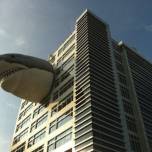 Здание discovery channel украсила акула