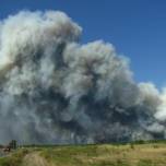 Лесные пожары в луганской области