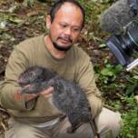 В индонезии открыты два представителя млекопитающих, еще неизвестных науке