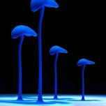 Голубые грибки