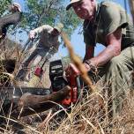 Кровавая война африки с браконьерством