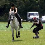 Конный бордиг (horse-boarding): новый экстремальный вид спорта