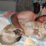 Южноафриканские супруги спят в одной кровати со львом