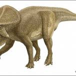 Многие динозавры вели ночной образ жизни