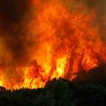 Лесные пожары в техасе