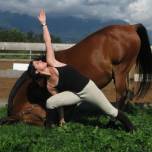 Женщина приучила свою лошадь заниматься йогой