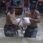 Тайфун ''несат'' на филиппинах