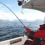 У берегов северной норвегии поймали атлантического палтуса весом 241 килограмм