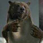 Забавный ролик о необычном медведе фильммейкере