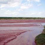 Река миусик в луганской области способна ''разъесть'' железнодорожную рельсу