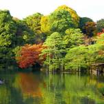 Сад рикугиэн в японии (rikugien garden)