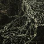 Живой лес (xylem) от художника анджело муско