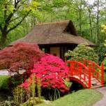 В лучших традициях японского сада