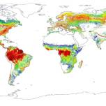 Составлена точная карта высоты лесов нашей планеты