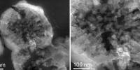 На марсианском метеорите вырастили бактерии