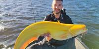 Рыбак поймал редкого ярко-желтого сома на озере в нидерландах
