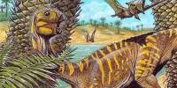 В бразилии нашли «очень редкого» крошечного беззубого динозавра