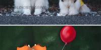 Художник создает иллюстрации домашних животных в стиле дисней