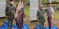 Рыбак выловил рекордного голубого сома весом 59,4 килограмма