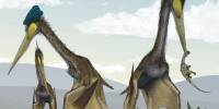 Гигантский птерозавр кетцалькоатль оказался плохим летуном