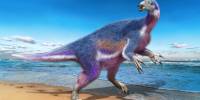 В японии обнаружили нового динозавра с длинными когтями