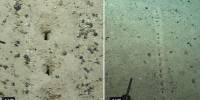 Ученых поставил в тупик ряд отверстий на дне атлантического океана