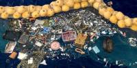 Неопелагиали: прибрежные животные нашли приют на большом мусорном пятне в тихом океане