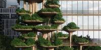 Вдохновленные грибами: зеленые террасы появились в новом здании в бразилии