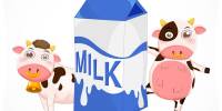 Биологи вывели породу коров, которая дает молоко с человеческим инсулином