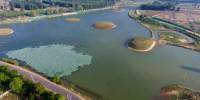 Инженер из индии восстановил более 90 высохших озер, применив древнюю технологию